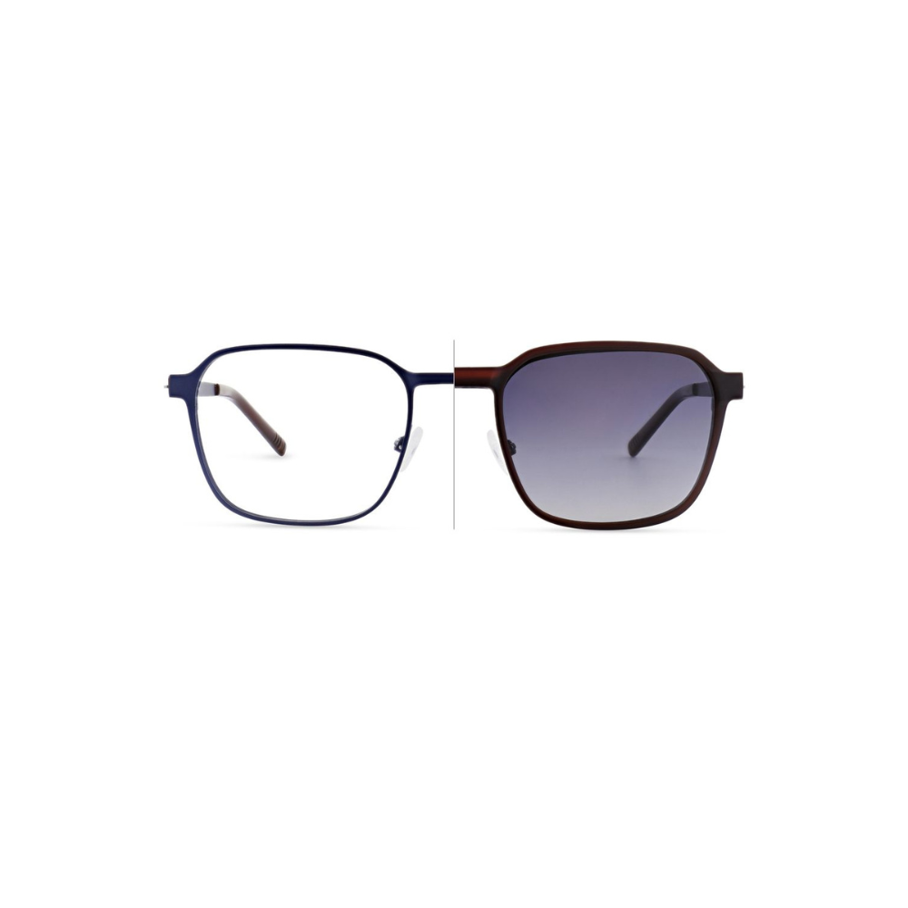 Morel Eclipse 2